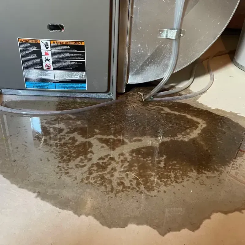 Appliance Leak Cleanup in Andrews County, TX